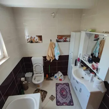 Pansion Ajlin Ferienhaus *